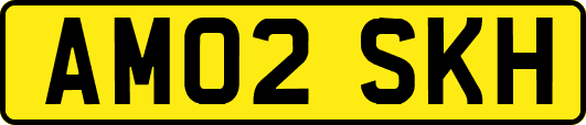 AM02SKH