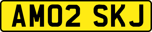 AM02SKJ