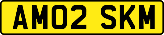 AM02SKM
