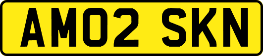 AM02SKN