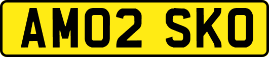 AM02SKO