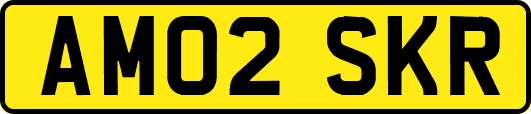 AM02SKR