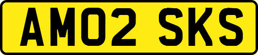 AM02SKS