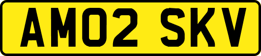 AM02SKV