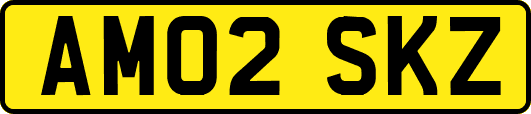 AM02SKZ