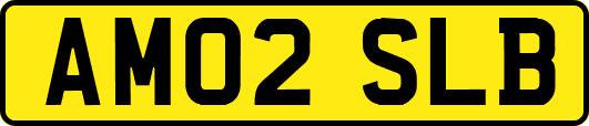 AM02SLB