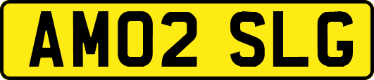 AM02SLG
