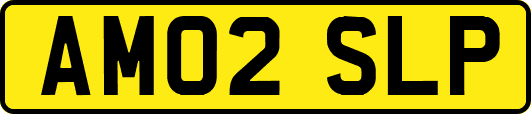 AM02SLP