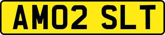 AM02SLT