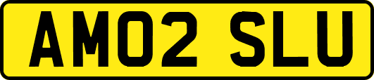 AM02SLU