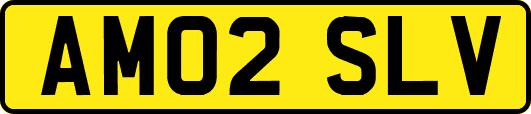 AM02SLV