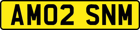 AM02SNM
