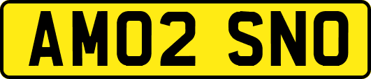 AM02SNO