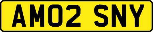 AM02SNY
