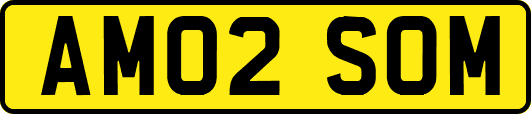 AM02SOM