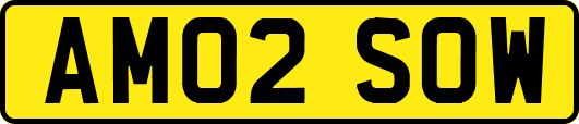 AM02SOW
