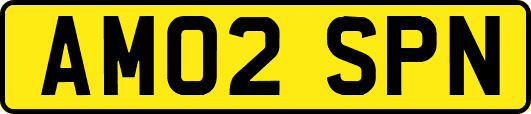 AM02SPN