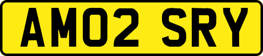 AM02SRY