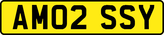 AM02SSY