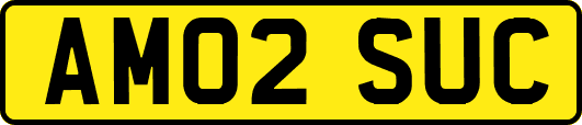 AM02SUC