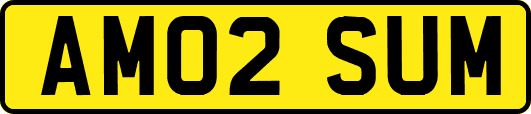 AM02SUM