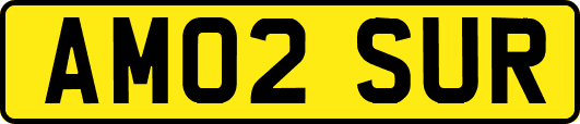 AM02SUR