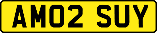 AM02SUY