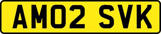 AM02SVK
