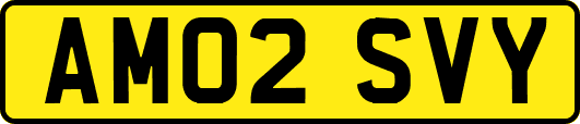 AM02SVY