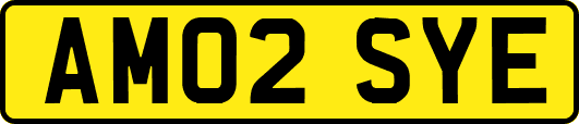 AM02SYE