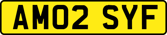 AM02SYF
