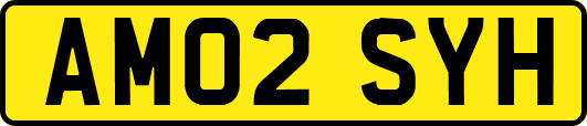 AM02SYH