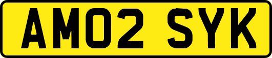AM02SYK