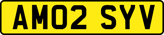 AM02SYV