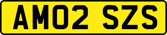 AM02SZS