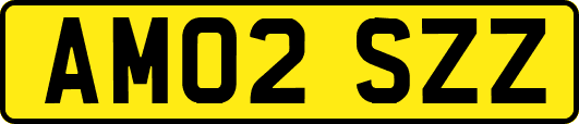 AM02SZZ
