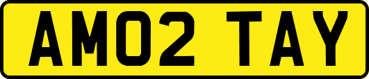 AM02TAY