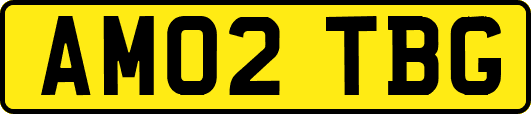 AM02TBG