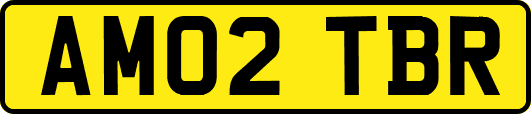 AM02TBR