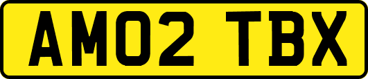 AM02TBX