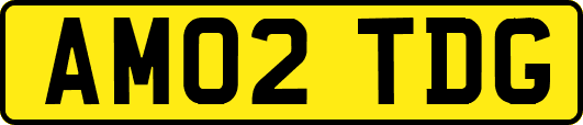 AM02TDG