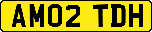 AM02TDH