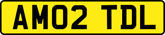 AM02TDL