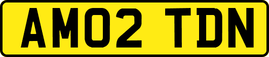 AM02TDN
