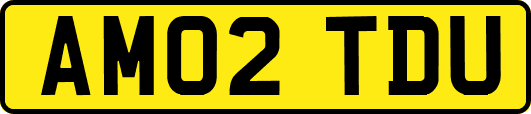 AM02TDU