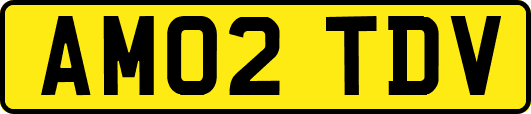 AM02TDV