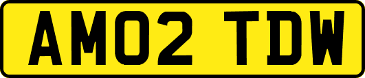 AM02TDW
