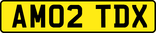 AM02TDX