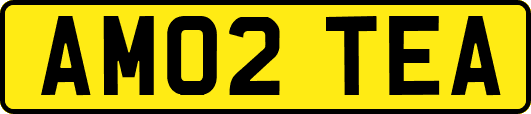 AM02TEA