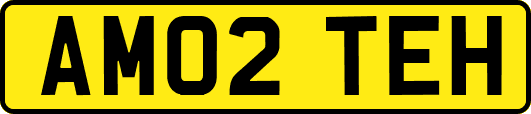AM02TEH